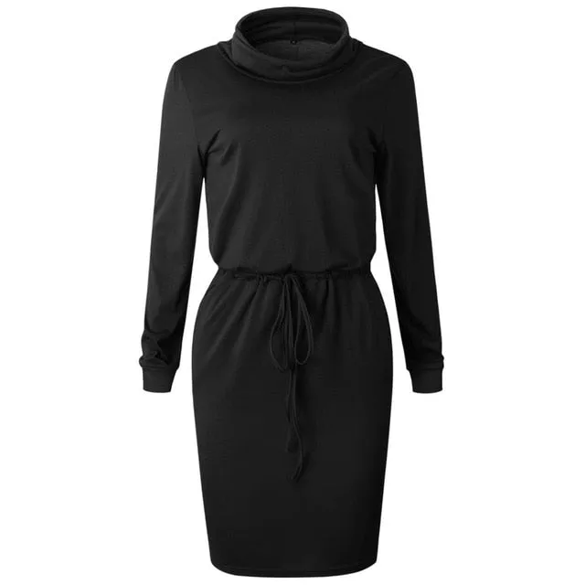 Casual Long Sleeve O Neck Women Dress