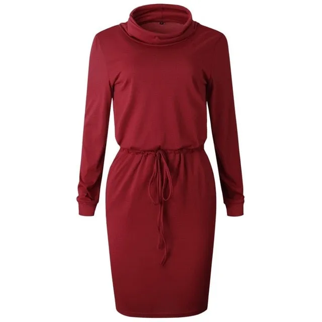 Casual Long Sleeve O Neck Women Dress