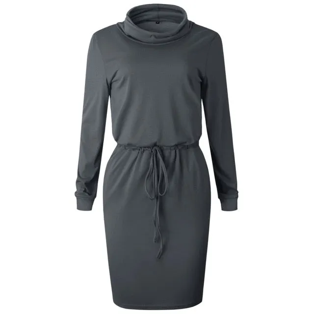 Casual Long Sleeve O Neck Women Dress