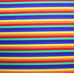 Rainbow Stripes Printed Spandex | Blue Moon Fabrics